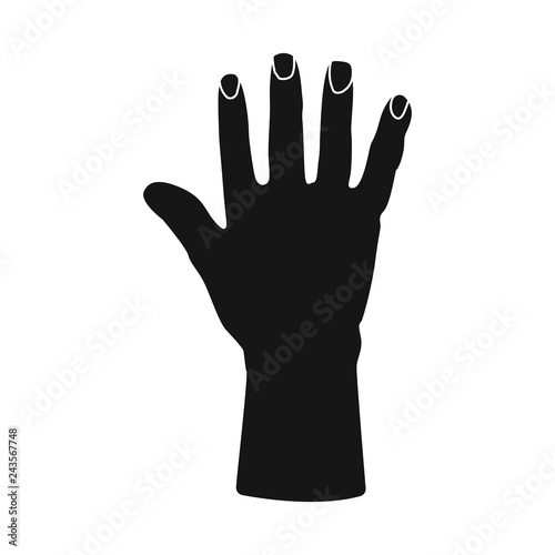 Vector illustration of body and part sign. Set of body and anatomy vector icon for stock.