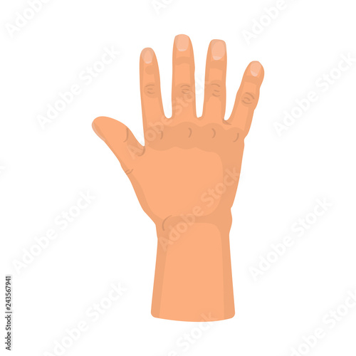Vector illustration of body and part icon. Set of body and anatomy stock vector illustration.