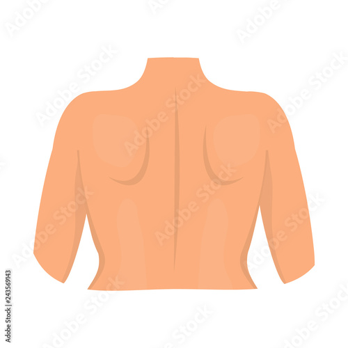 Vector design of body and part icon. Set of body and anatomy stock vector illustration.