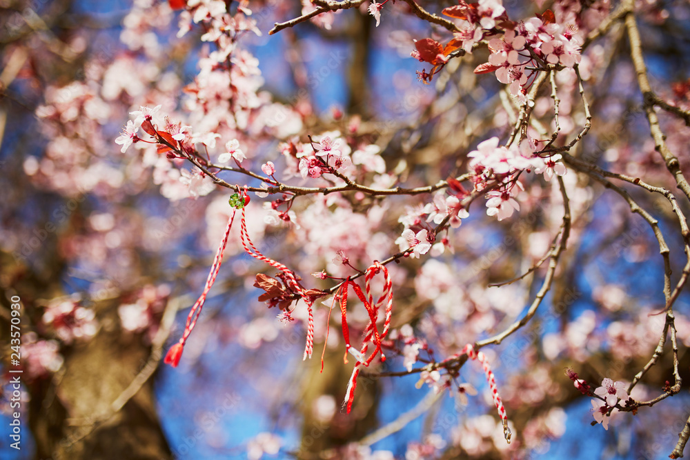 Branch of blossoming cherry tree with red and white martisor Branch of blossoming cherry tree with red and white martisor