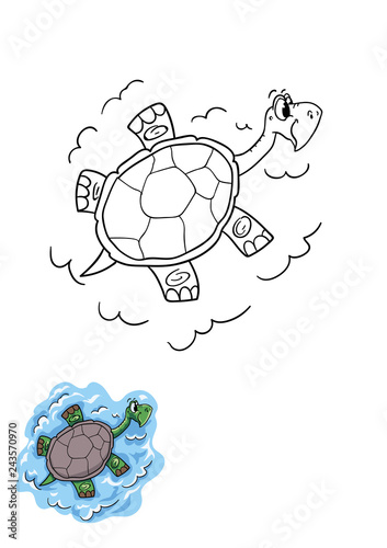 turtle funny vector colring image