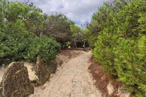 Footpath in park under gloomy sky