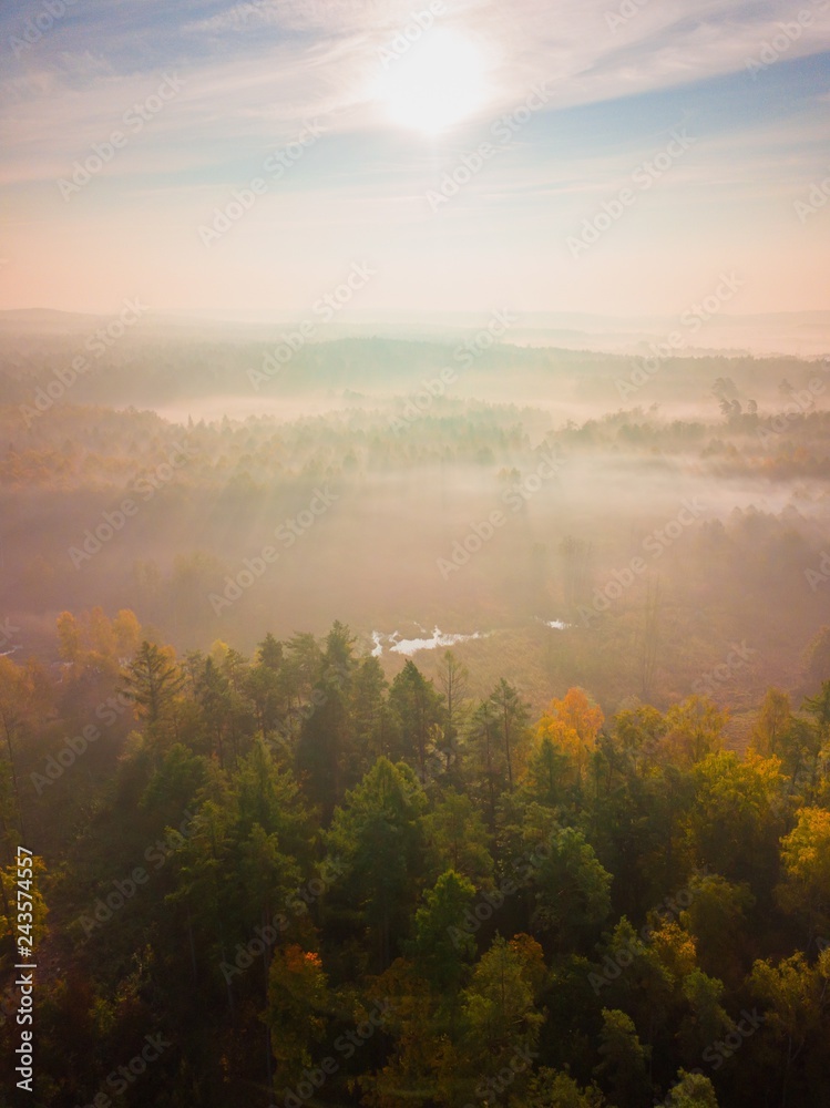 Aerial landscape with foggy sunrise over meadows and forest Aerial landscape with foggy sunrise over meadows and forest