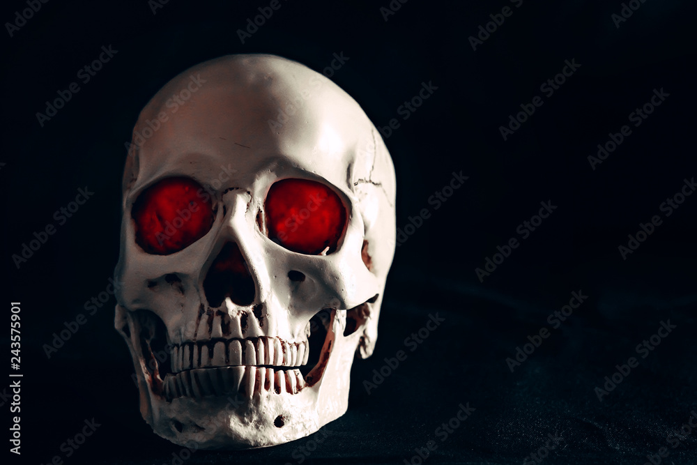 skull in the dark skull in the dark