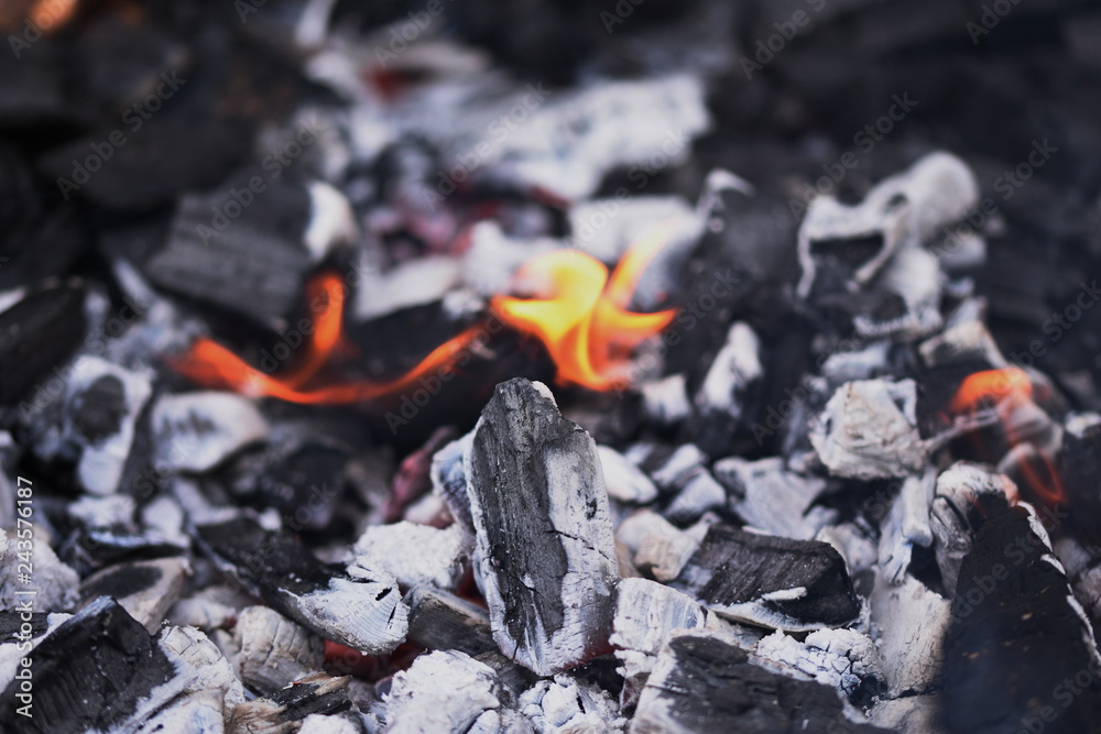  charcoal with  fire