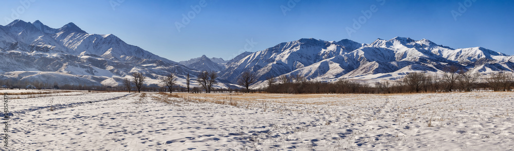 panorama, at dawn, snow-covered field, dry grass, bare trees, against the backdrop of winter mountains