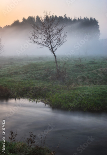 spring morning valley of the picturesque river. spring fog