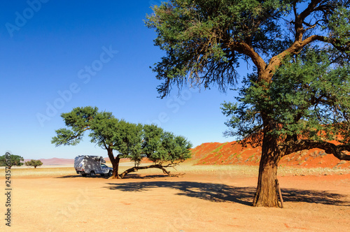 Camper in the Namib Desert / Motorhome stands in the shade under an acacia tree in the Namib Desert, Namibia, Africa.