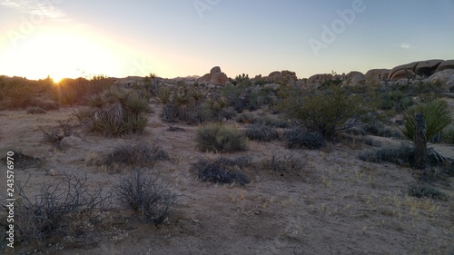 Sunset Desert