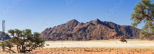 Landscape in the Namib Desert / Landscape with oryx antelopes in the Namib Desert, Namibia, Africa.