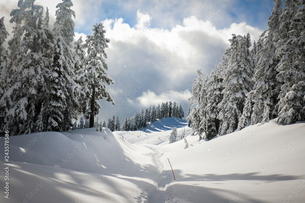 Obraz premium Trail in the snowy mountain