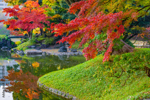 Colorful autumn leaves in Japanese garden with reflection on water