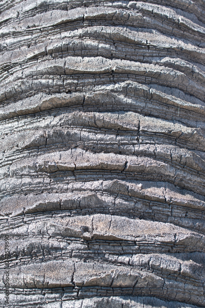 Texture Texture