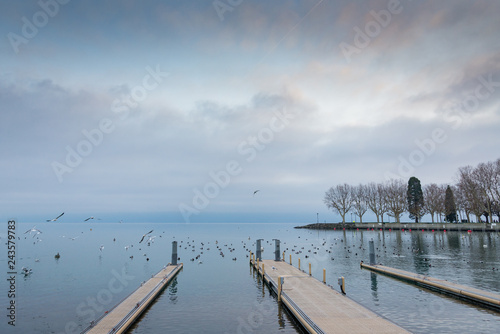 Beautiful tranquil dramatic colorful atmosphere of misty and cloudy lake Geneva with flying and swimming bird and swan, floating buoys and pier without people in Lausanne, Switzerland. © Peeradontax