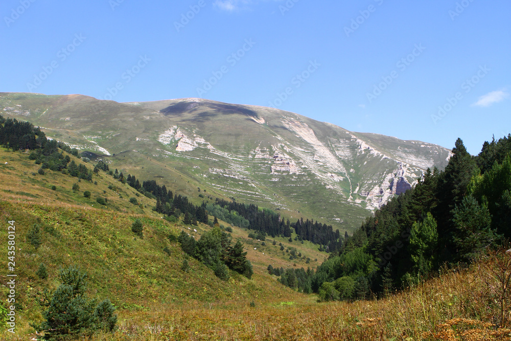 mountain slope with trees on it, natural landscape photo