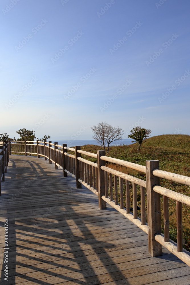秋の知床五湖の高架木道 ( Wooden elevated boardwalk in Shiretoko five lakes in autumn ) 秋の知床五湖の高架木道 ( Wooden elevated boardwalk in Shiretoko five lakes in autumn )