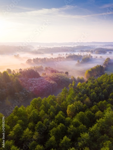 Beautiful foggy morning landscape photographed from above © milosz_g