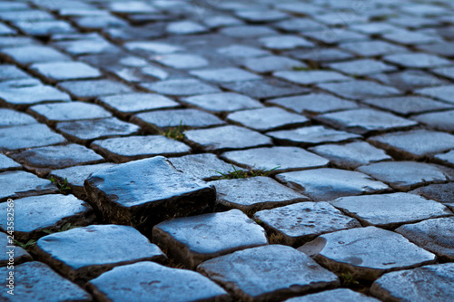 Standout - One cobblestone sticks up among its peers. Rome, Italy