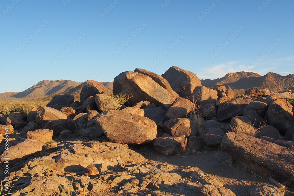 Obraz premium Petroglyphs attributed to the Hohokam people on the rocks of Signal Hill in Saguaro National Park near Tucson, Arizona.