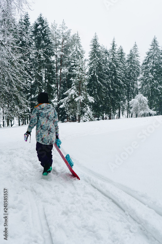 Snowboarder woman waking on the mountain forest with snowboard in hands. Back view