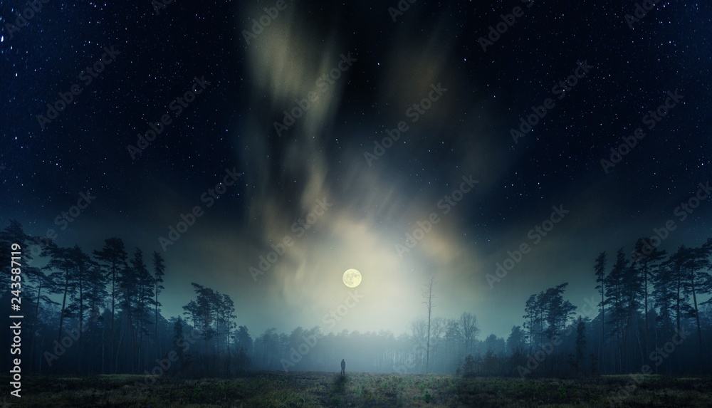 Dreamy surreal landscape with starry night sky and man silhouette.