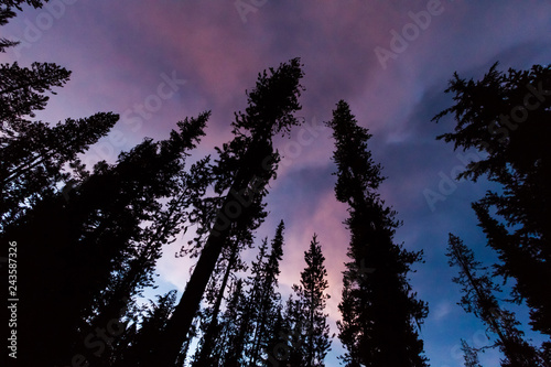 Cotton Candy Sky - Dusk settles over Umpqua National Forest. Crater Lake National Park, Crater Lake, Oregon, USA
