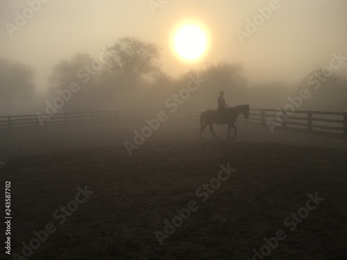 silhouette of horse and rider at sunrise 