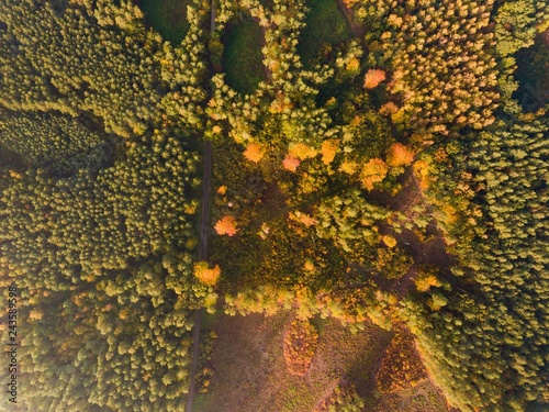 Aerial top down landscape with beautiful autumn forest from above