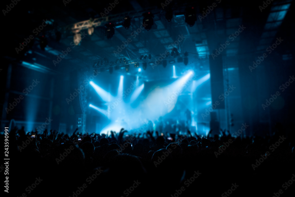 Musical concert. People in the concert hall at the disco . Singer in front of the audience. Fans at the concert. Blurred image / blurred photo.