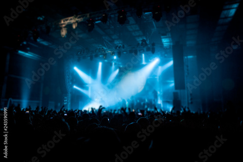 Musical concert. People in the concert hall at the disco . Singer in front of the audience. Fans at the concert. Blurred image / blurred photo.