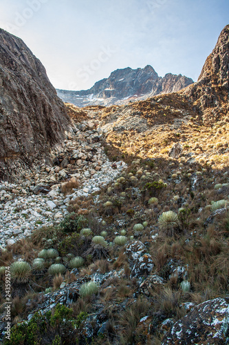 Sierra Nevada National Park, Venezuela. photo