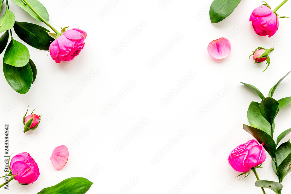 Rose flowers background. Rose roses on white background top view copy space frame Rose flowers background. Rose roses on white background top view copy space frame