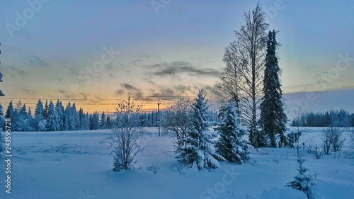A field covered with a thick layer of snow, snow-covered trees against the backdrop of a bright sunset. © Владимир Филиппов