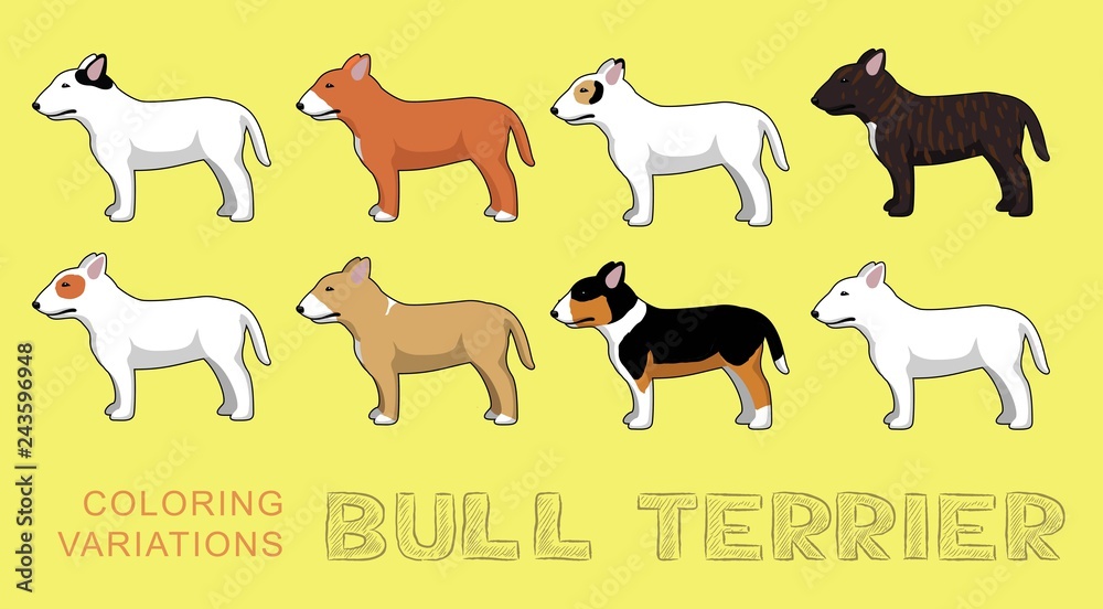 Dog Bull Terrier Coloring Variations Vector Illustration