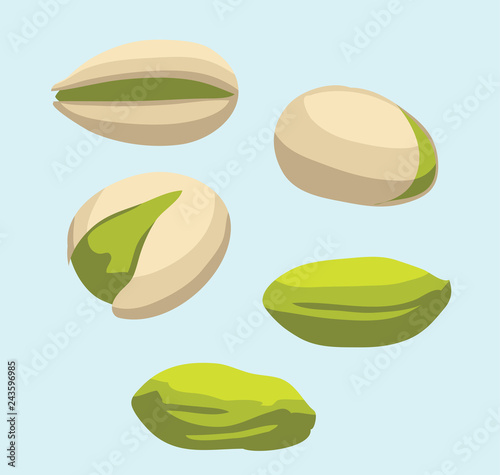 Food Various Pistachio Vector Illustration