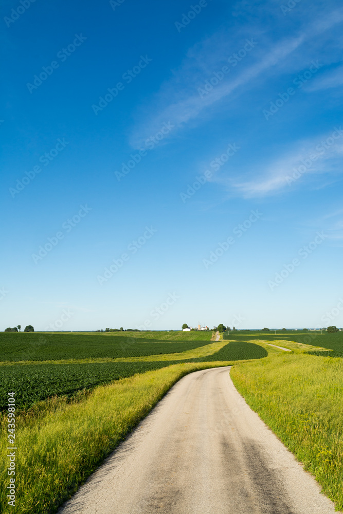 Fototapeta premium Country road in the rural Midwest. Bureau County, Illinois, USA