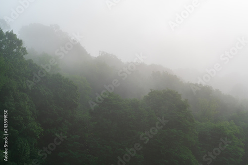 Foggy Morning in Cuyahoga Valley National Park