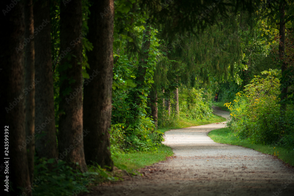 Fototapeta premium Walking Path at Cuyahoga Valley National Park