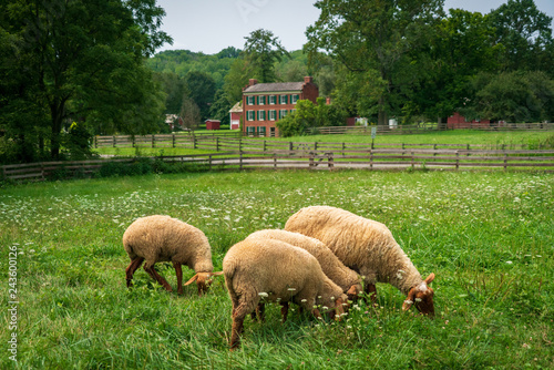 Hale Farm Village, Cuyahoga Valley National Park