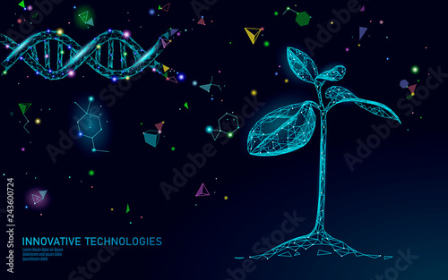 Plant sprout biotechnology abstract concept. 3D render seedling tree leaves DNA genome engineering vitamin supplement. Medical science life eco polygon triangles low poly vector illustration
