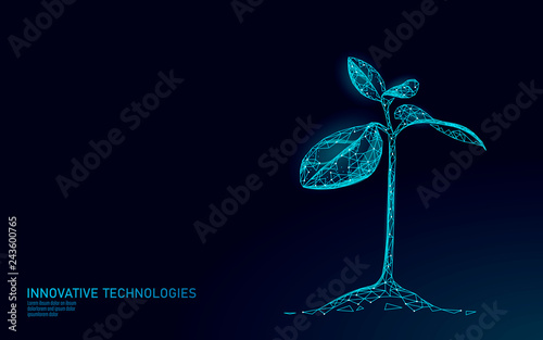 Plant sprout ecological abstract concept. 3D render seedling tree leaves. Save planet nature environment grow life eco polygon triangles low poly vector illustration