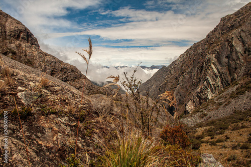 Sierra Nevada National Park. Venezuela. photo