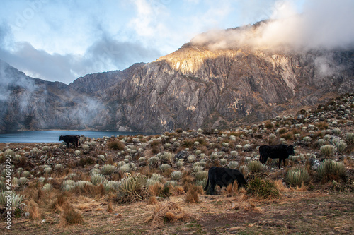 Sierra Nevada National Park. Venezuela. photo