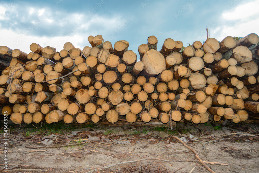 stack of wood logs stack of wood logs