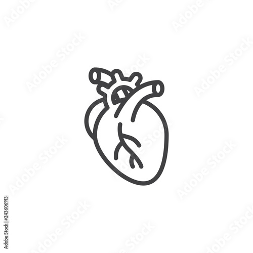 Human heart line icon. linear style sign for mobile concept and web design. Anatomical human heart organ outline vector icon. Anatomy symbol, logo illustration. Pixel perfect vector graphics
