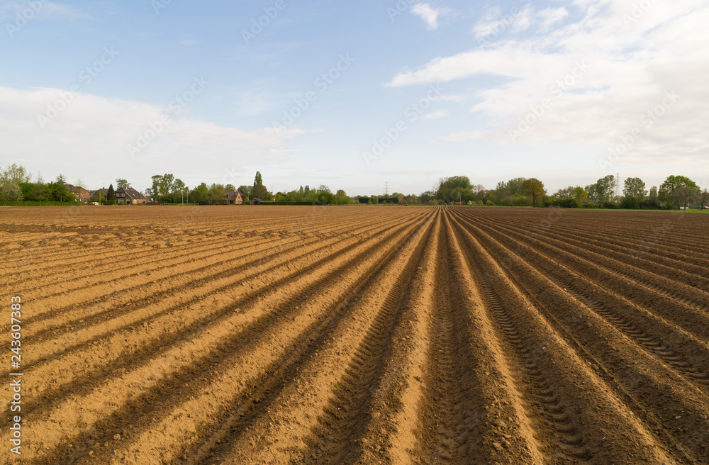 Open farmland in Doetinchem, Holland/ Netherlands.