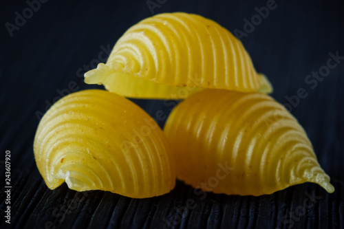 Pasta Shells