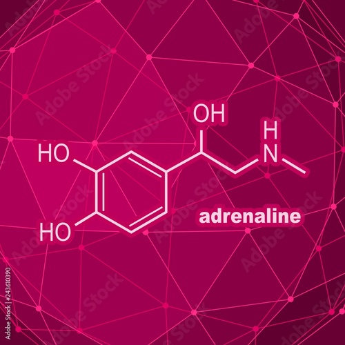 Chemical molecular formula hormone adrenaline. Infographics illustration.