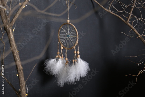 Dreamcatcher with white feathers hangs down from branches against a dark background