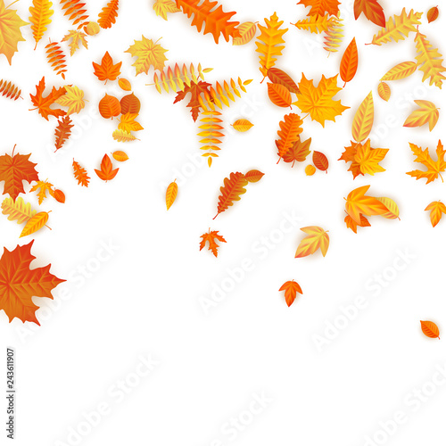 Autumn background with golden maple, oak and others leaves. EPS 10